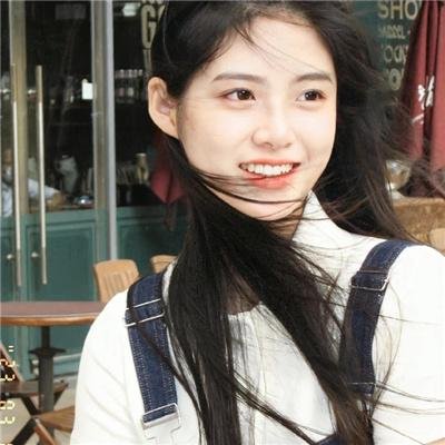 紫苑草